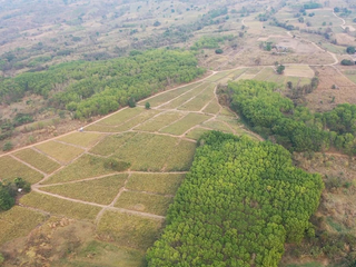 For sale land in Mueang Lampang, Lampang