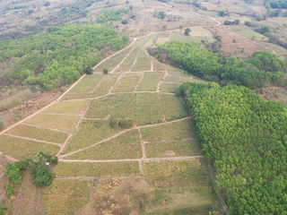 For sale land in Mueang Lampang, Lampang