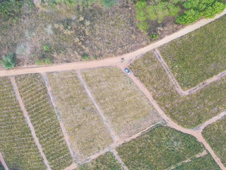 For sale land in Mueang Lampang, Lampang