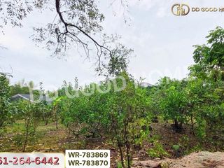 For sale land in Ban Chang, Rayong
