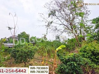 For sale land in Ban Chang, Rayong
