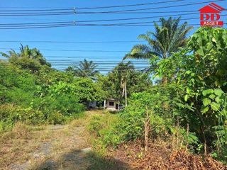 For sale land in Thung Tako, Chumphon
