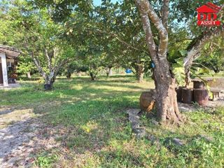 For sale land in Thung Tako, Chumphon