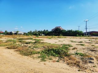 For sale land in Doi Lo, Chiang Mai