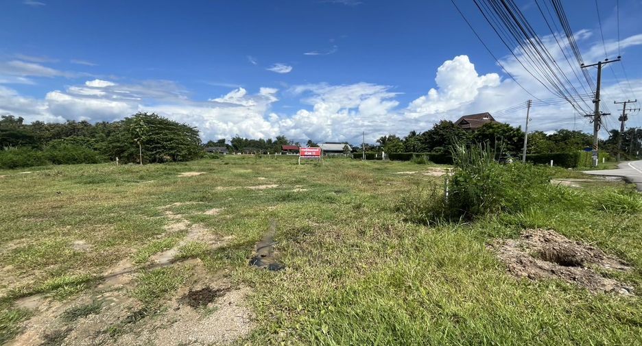 For sale land in Doi Lo, Chiang Mai