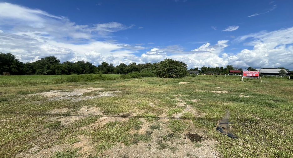 For sale land in Doi Lo, Chiang Mai