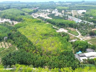 For sale land in Takua Thung, Phang Nga
