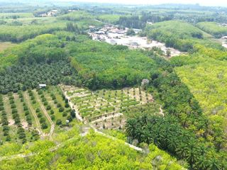 For sale land in Takua Thung, Phang Nga