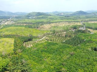 For sale land in Takua Thung, Phang Nga