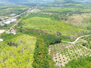 For sale land in Takua Thung, Phang Nga