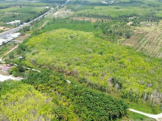 For sale land in Takua Thung, Phang Nga