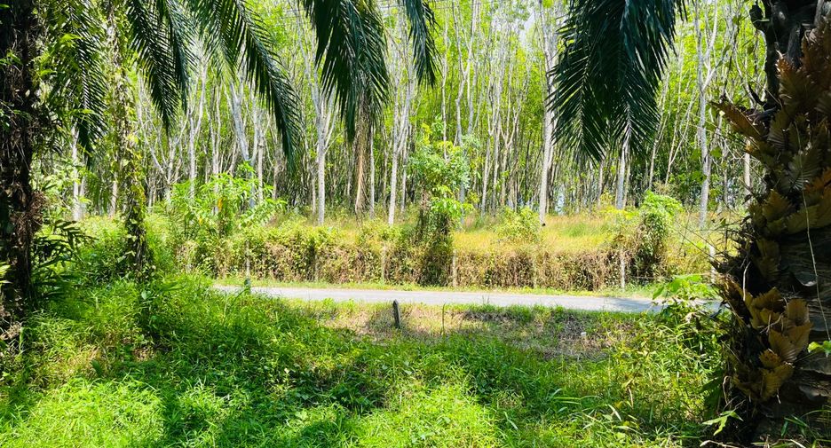 Grundstück zum Kauf in Takua Thung, Phang Nga