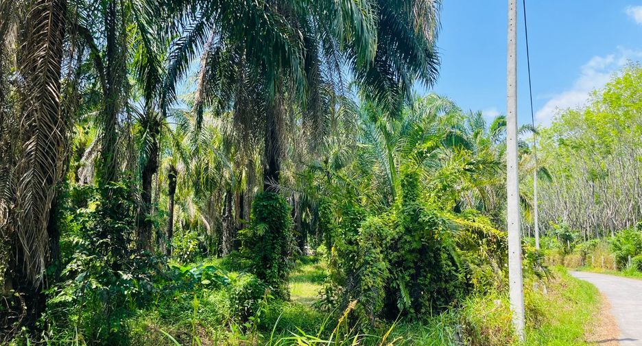 Grundstück zum Kauf in Takua Thung, Phang Nga