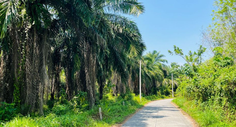 Grundstück zum Kauf in Takua Thung, Phang Nga