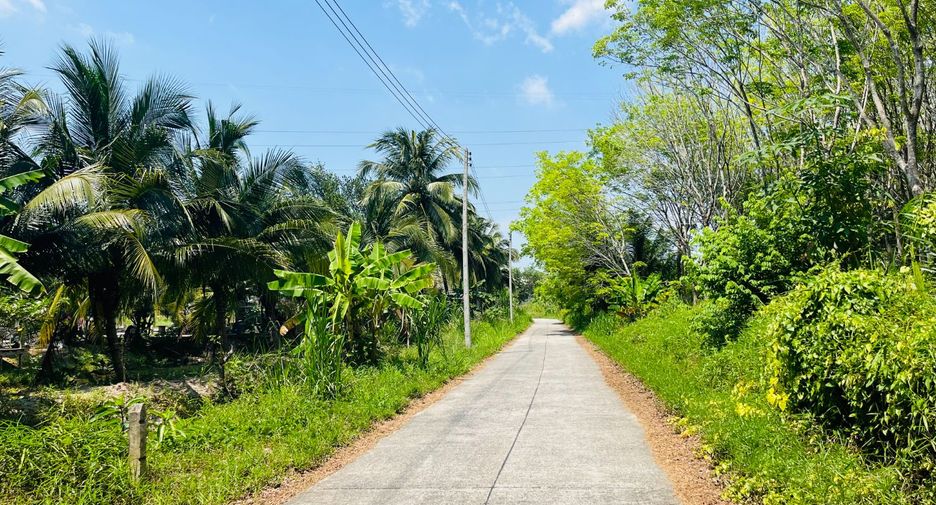 Grundstück zum Kauf in Takua Thung, Phang Nga