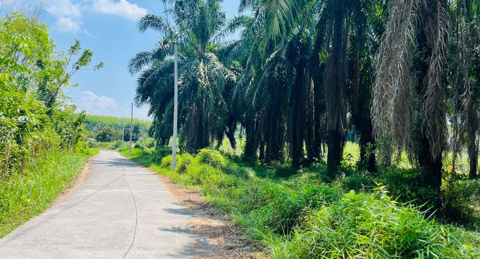Grundstück zum Kauf in Takua Thung, Phang Nga