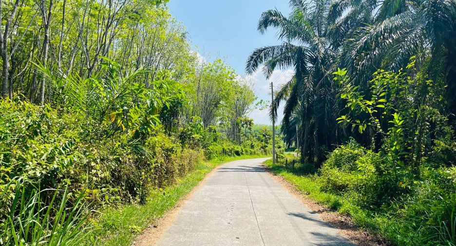 Grundstück zum Kauf in Takua Thung, Phang Nga