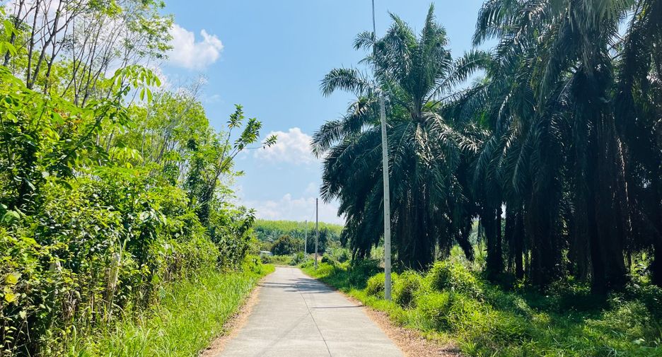 Grundstück zum Kauf in Takua Thung, Phang Nga