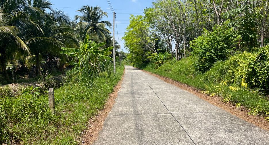 Grundstück zum Kauf in Takua Thung, Phang Nga