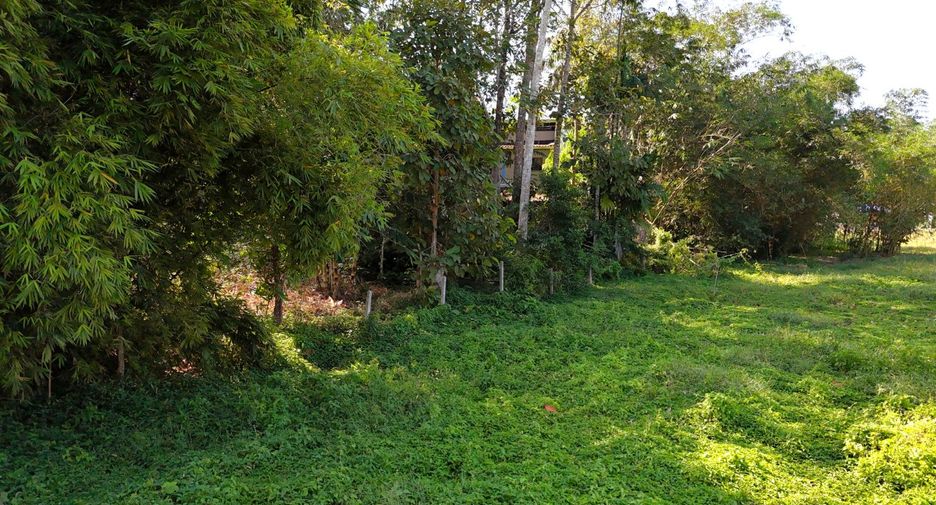 出售 土地 在 Mueang Krabi, Krabi