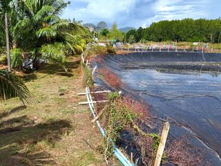 For sale land in Mueang Krabi, Krabi