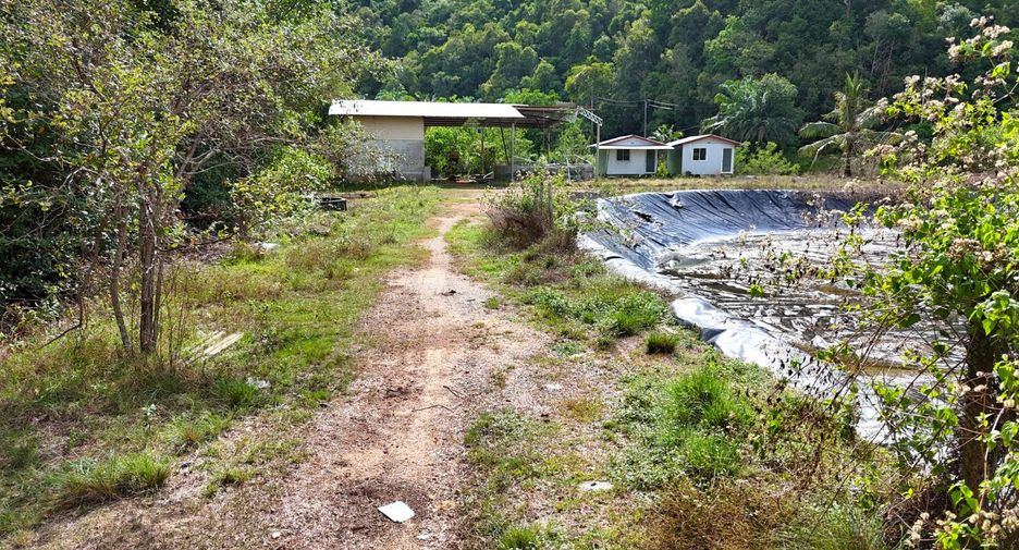 For sale land in Mueang Krabi, Krabi