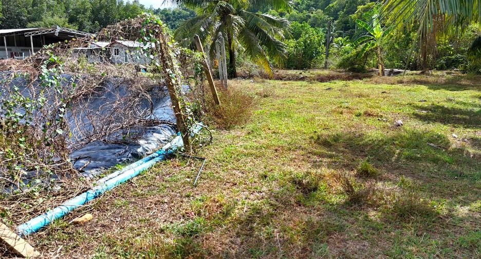 For sale land in Mueang Krabi, Krabi