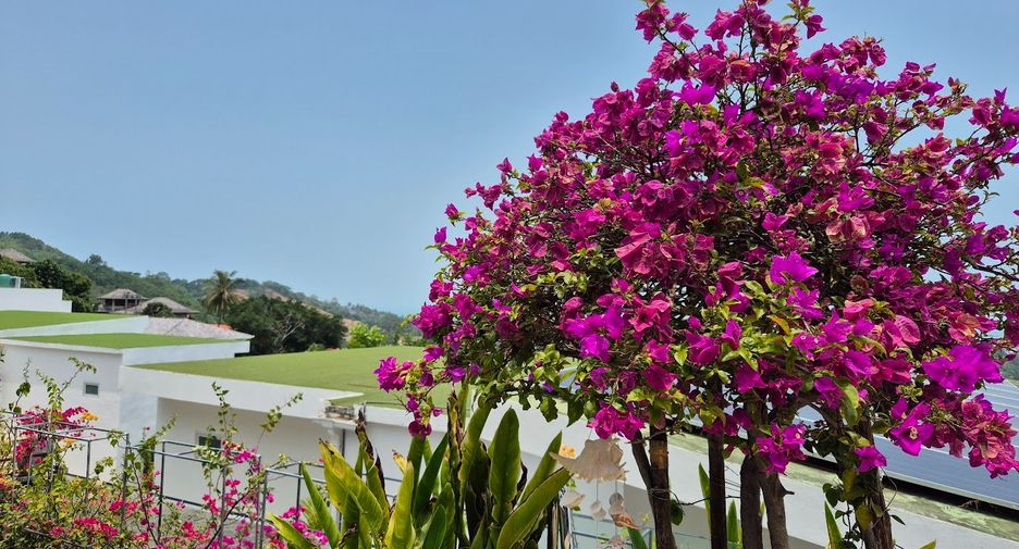 For rent 2 bedrooms villa in Ko Samui, Surat Thani
