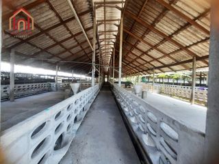 出租 仓库 在 Sam Phran, Nakhon Pathom