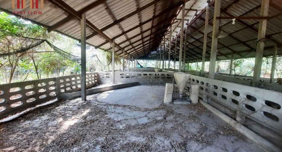 For rent warehouse in Sam Phran, Nakhon Pathom