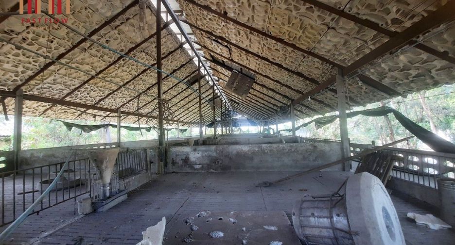 For rent warehouse in Sam Phran, Nakhon Pathom