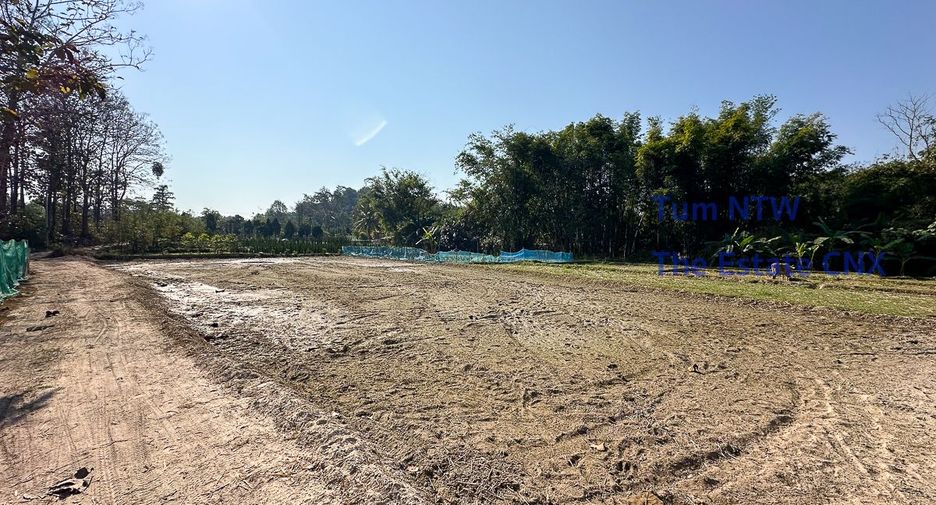 For sale land in Mae On, Chiang Mai