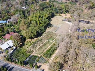 For sale land in Mae On, Chiang Mai