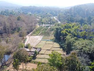 For sale land in Mae On, Chiang Mai