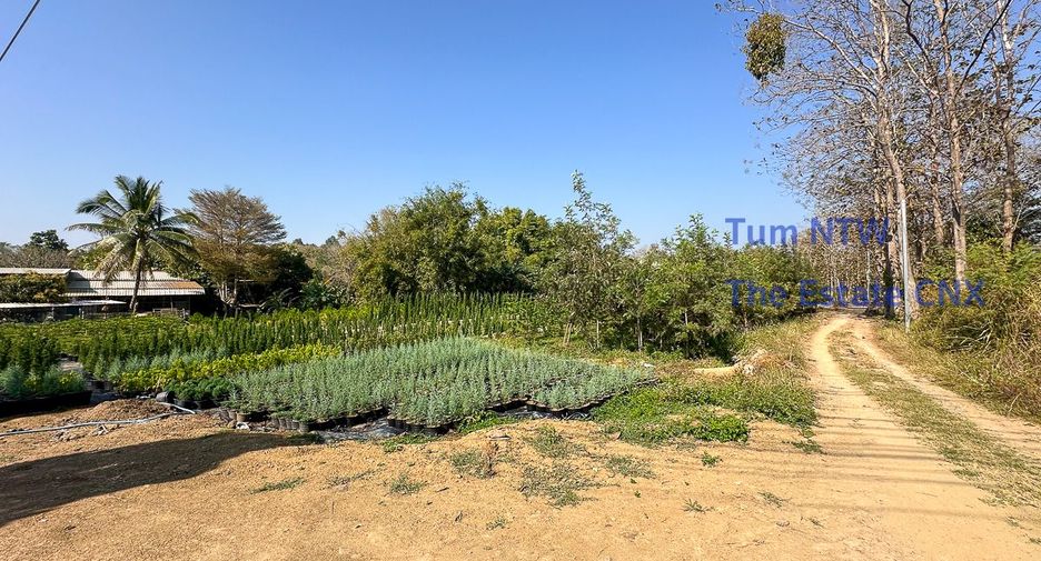 For sale land in Mae On, Chiang Mai