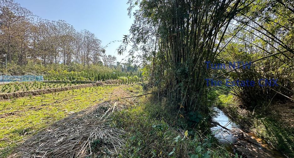 For sale land in Mae On, Chiang Mai