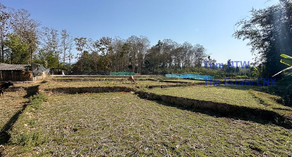 For sale land in Mae On, Chiang Mai