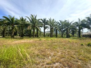 For sale land in Thai Mueang, Phang Nga
