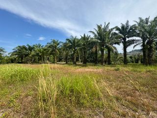 For sale land in Thai Mueang, Phang Nga