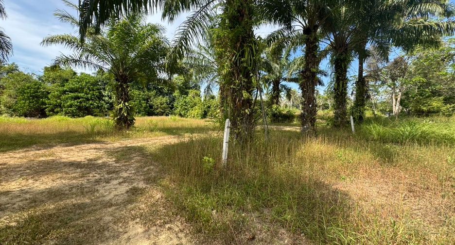 À vendre terrain à Thai Mueang, Phang Nga