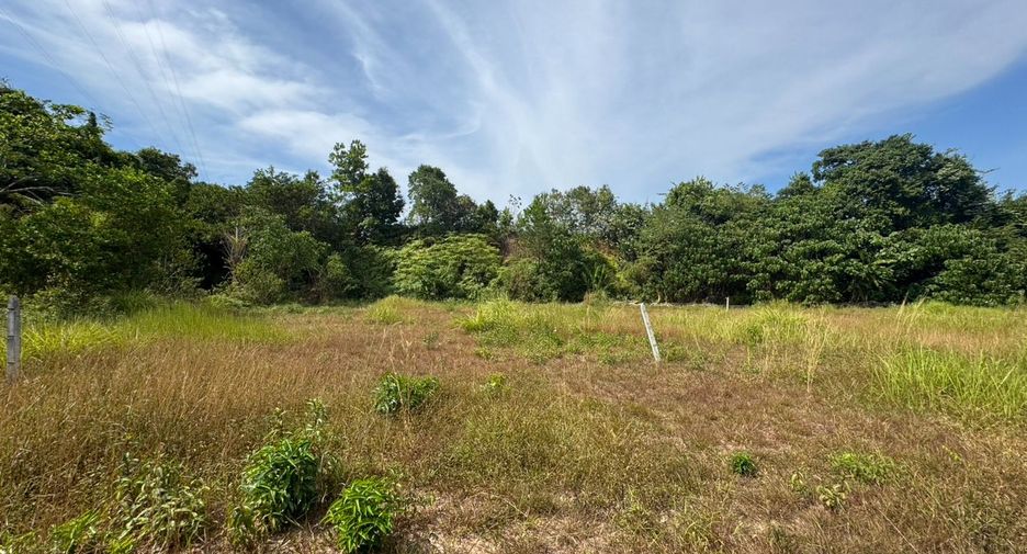 À vendre terrain à Thai Mueang, Phang Nga