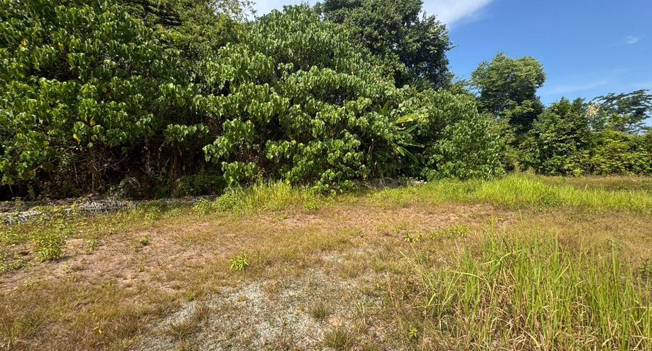 À vendre terrain à Thai Mueang, Phang Nga