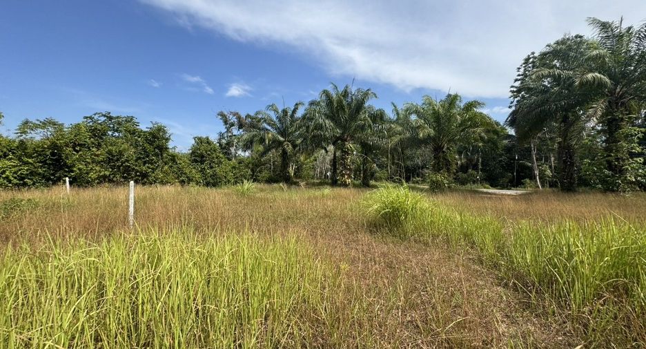 À vendre terrain à Thai Mueang, Phang Nga
