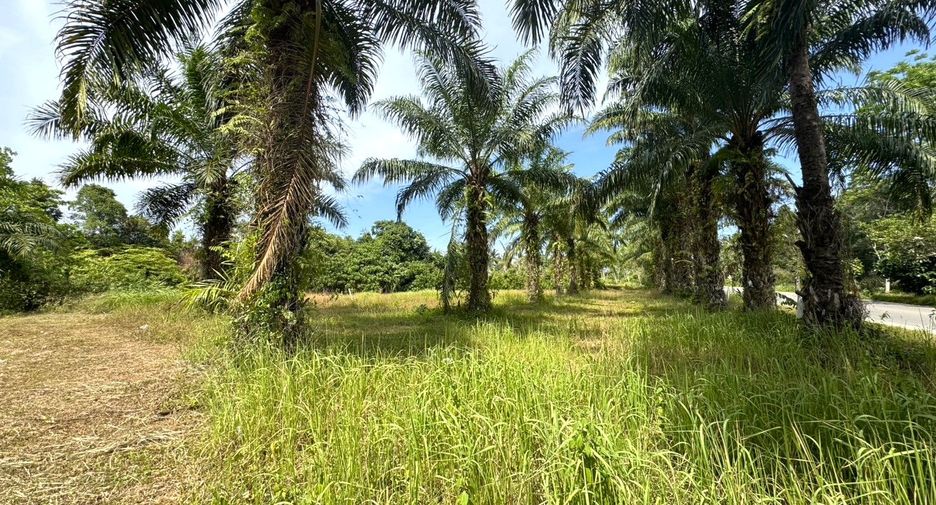 À vendre terrain à Thai Mueang, Phang Nga