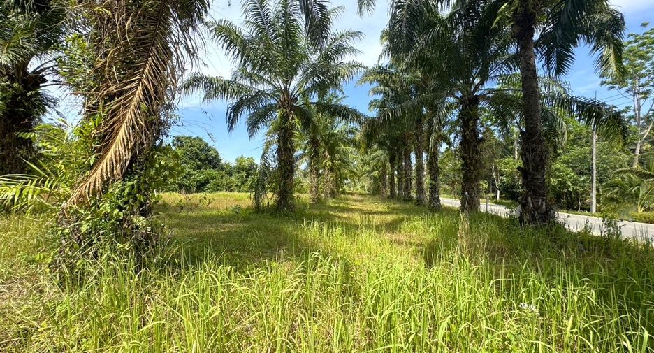 À vendre terrain à Thai Mueang, Phang Nga