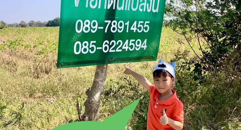 For sale land in Phatthana Nikhom, Lopburi