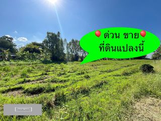 For sale land in Nong Khae, Saraburi