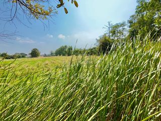 For sale land in Nong Khae, Saraburi