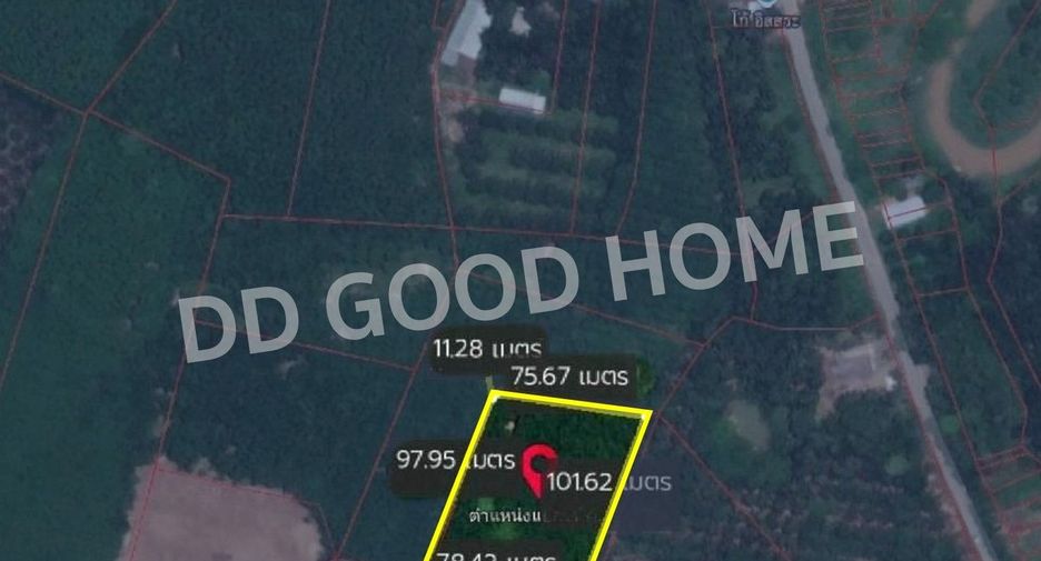 For sale land in Chai Buri, Surat Thani