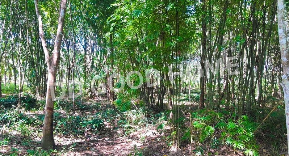 For sale land in Chai Buri, Surat Thani